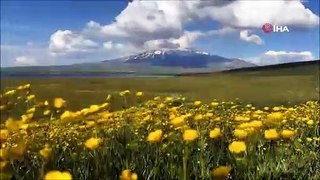 Sütey Yaylası ve Süphan Dağı’ndan hayranlık uyandıran görüntüler