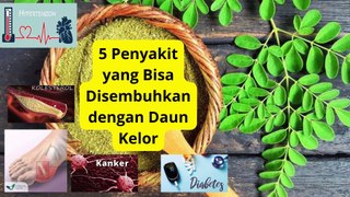 5 Penyakit yang Bisa di cegah dengan Daun Kelor salah satunya ampuh melawan kanker