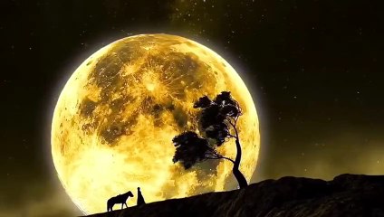 Arabic Remix 2024 _ Arabic Soul - Drinche  _ New Arabic Remix Song 2024