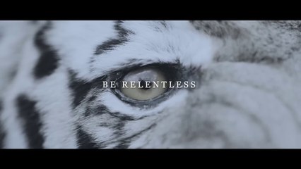 ADRENALINE - Best Motivational Speeches