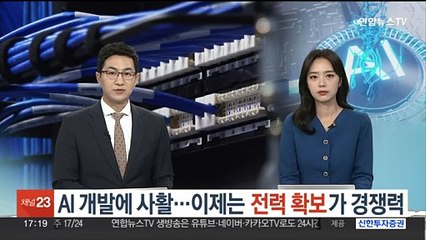 AI 개발에 사활…이제는 '전력 확보'가 경쟁력