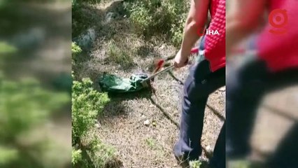 Lise bahçesindeki yılan korkuttu