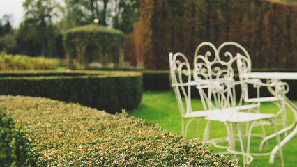 How much do Americans plan to spend to get their yards party-ready?