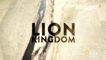 Lion Kingdom S01E03 - Blood Rivals - Nat Geo Wild