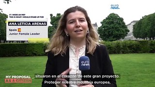 ¿Qué haría yo si fuera eurodiputado...respecto a los valores europeos?