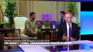 Zelensky says China working to 'prevent' countries from attending peace summit
