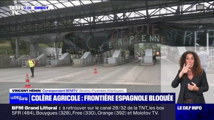À quelques jours des élections européennes, les agriculteurs en colère bloquent la frontière espagnole