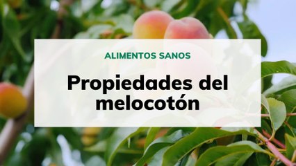 Descubre los Beneficios del Melocotón: La Fruta de Primavera 🌸