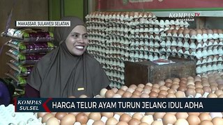 Harga Telur Ayam Turun Jelang Idul Adha sejak satu bulan terkahir