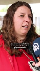 Alman uzmandan başıboş köpeklerle ilgili çözüm