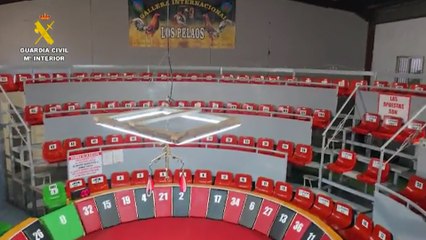 Frustrada una pelea de gallos en una nave con escenario de 200 asientos en Murcia