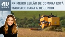 Kellen Severo: Importação de arroz custará bilhões aos cofres públicos