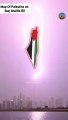 Lightening_on_Burj_khalifa_Resembles_Palestine_Flag__#viral_#youtubeshorts_#shorts_#shortsfeed(360p)