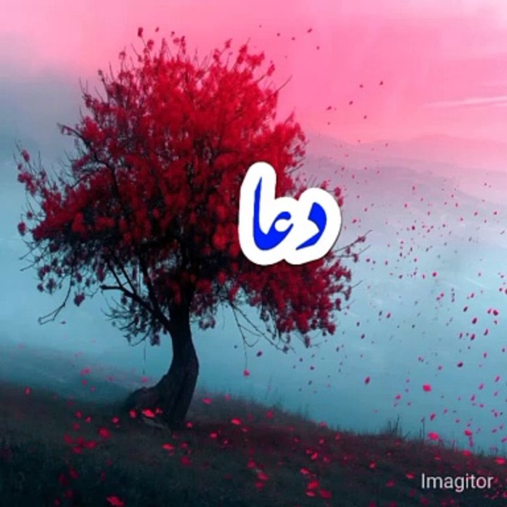 دعا
