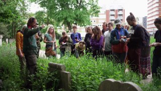 Hunting for edible plants with London's urban foragers