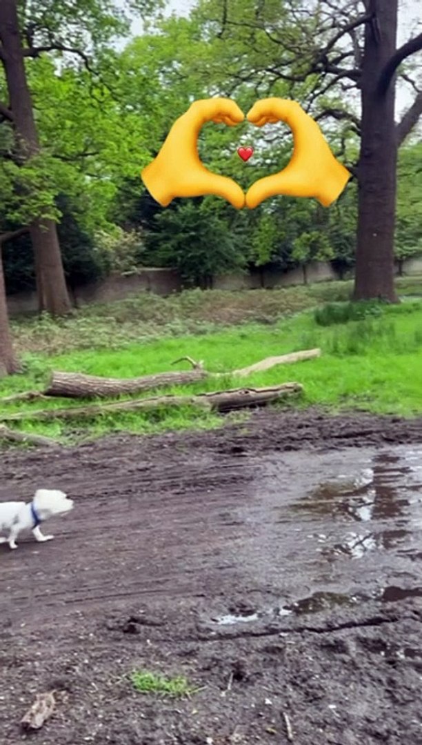 ⁣Funny*funny animals*funny animals video*funny video*comedy*animals