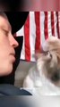 Funny Pets Videos Ever Funny Pets Life Pets Funny Pets Cat