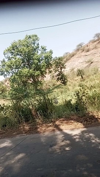 Natural Lover's Video
