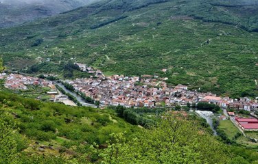 RFL Marca MX excluyendo Italia