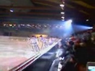 Cow-boys (Yannick, Brian, Kim, Olivier...)