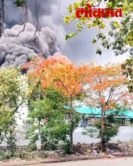 घटनास्थळी पॅनकार्ड सापडले मात्र अजूनही भारतचा शोध लागला नाही