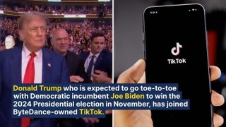Trump Gains 3M Followers On TikTok Amid UFC-Themed Debut: Here's How Biden's Super Bowl-Themed Arrival On The Platform Did In February