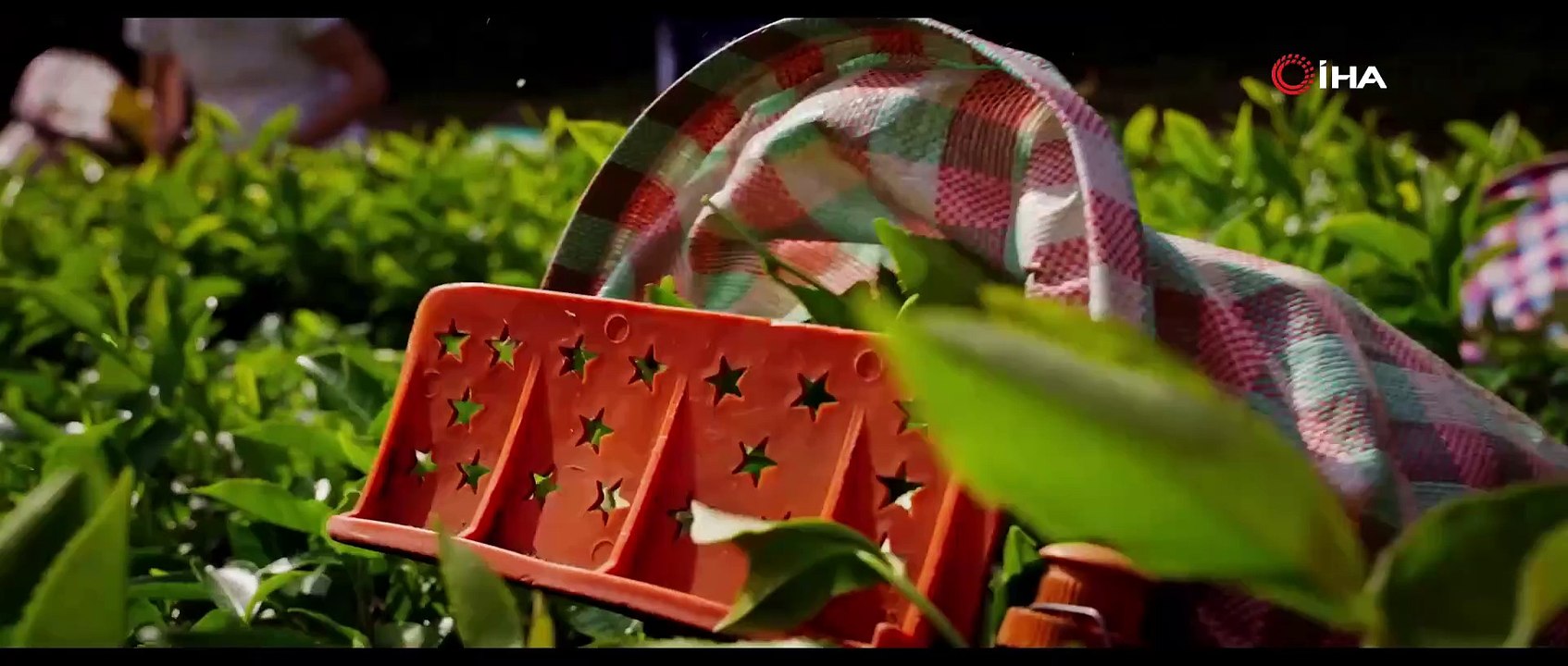 Çaykur Rizespor, yeni sezon formalarını tanıttı