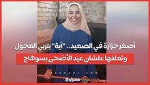 أصغر جزارة في الصعيد.. "آية" بتربي العجول وتعلفها علشان عيد الأضحى بسوهاج…