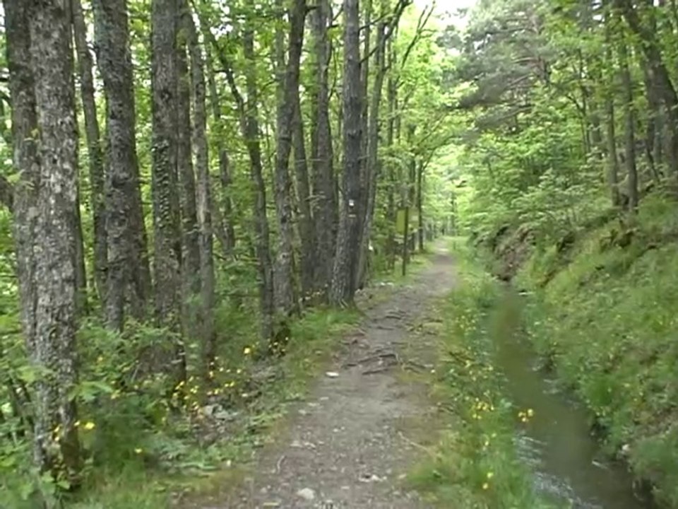 Canal de Beaumont 920m  - La Salle-en-Beaumont 38350_(1)