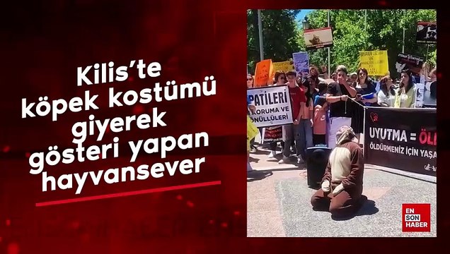 Kilis'te köpek kostümü giyerek gösteri yapan hayvansever