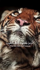 Quran Surah #Quran #surah #islamic
