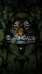 Quran Surah #Quran#surah #islamic #islamic_video