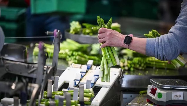 I 10 migliori alimenti ricchi di fibre da mangiare ogni settimana. Popcorn compresi