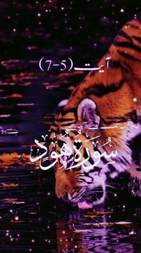 Quran Surah #Quran#surah #islamic #islamic_video