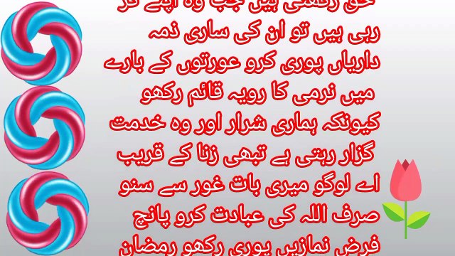 Nabi pak SW ka aakhri khutba Hajj | The last sermon of the Holy Prophet SW on Hajj | muzmil 215 voice