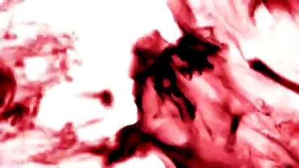 Ep. 04# A Entidade da Encruzilhada Pt. I