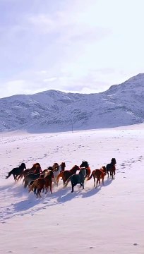 Amazing Relax emotional Islamic nasheed Background islamic intro beautiful