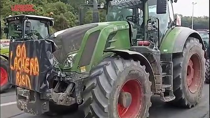 Download Video: Francia, proteste degli agricoltori: bloccata l'autostrada al confine con la Spagna