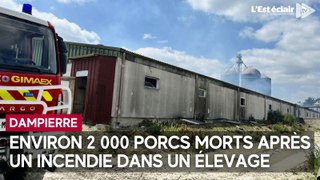 Incendie dans un élevage de porcs à Dampierre ce lundi 3 juin