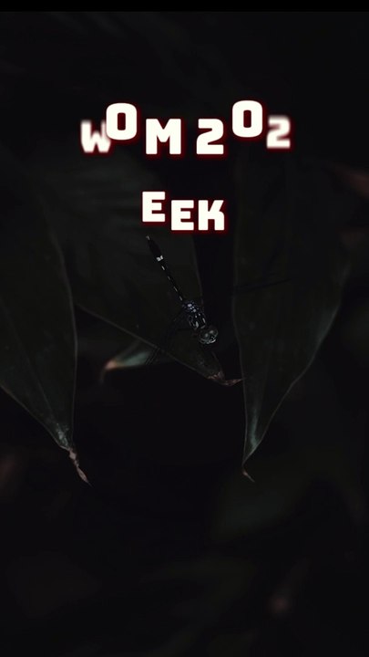 Distinguishing Fact from Opinion: COM 205 Week 2 Assignment Guide