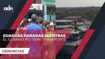 Guaguas paradas mientras el cubano no tiene transporte