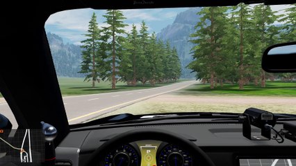 BeamNG Drive | Wrong-Way Sunburst Pursuit