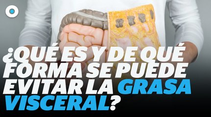 Descubre cómo evitar la grasa abdominal  I Reporte Indigo