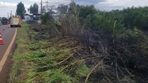 Corpo de Bombeiros combate grande incêndio em vegetação às margens da PRc-467 em Cascavel