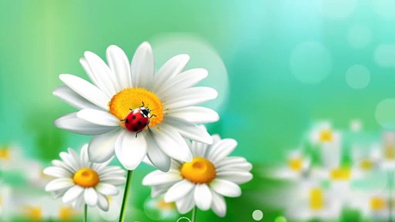 Flowers background