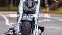 Harley-Davidson FAT BOY Custom: FAT WOLF * A&T Design