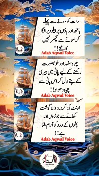 golden words Urdu quotes #shorts #desi #youtubeshorts #ytshorts #quotes #motivation