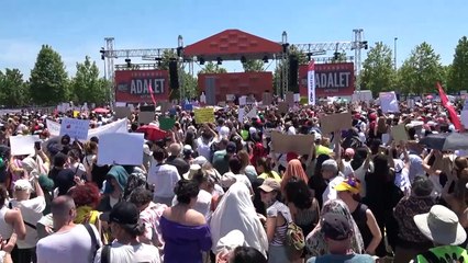 Thousands protest in Istanbul against controversial bill seeking to euthanise stray dogs