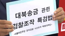 민주당, '대북송금 檢 조작수사' 특검법 발의 / YTN