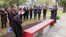 #NI UNA MENOS: La Biblioteca Central suma un Banco Rojo
